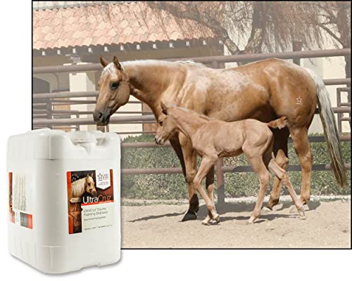 Equine Foaming Shampoo