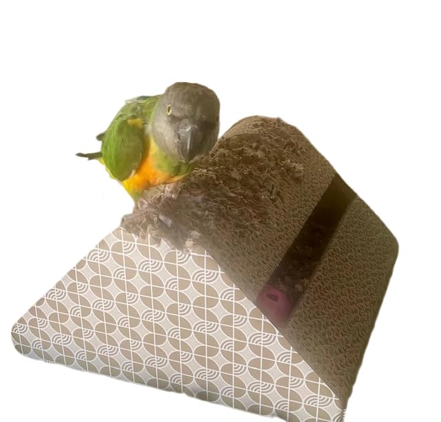 Parrot Cardboard Toy with Jingle Ball (LARGE size)
