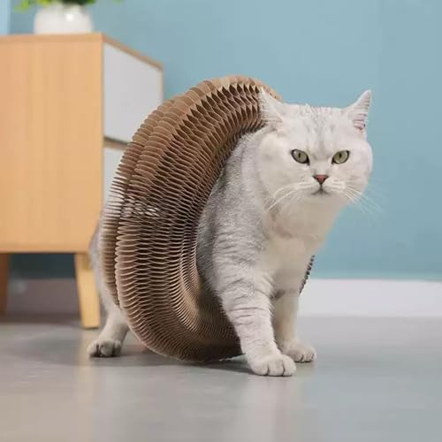 Magic Accordion Cat Scratching Board (2 Pack Round)
