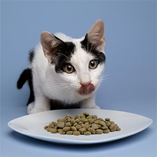 Intestinal Dry Cat Food for Sensitive Stomachs (3.3 Pound (Pack of 1))