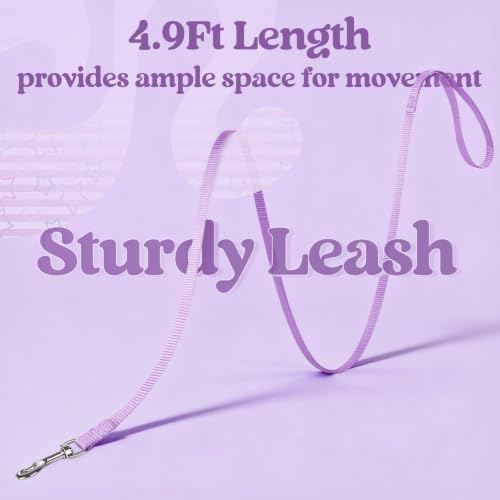 Cat Harness and Leash Set (S / Stars & Stripes)