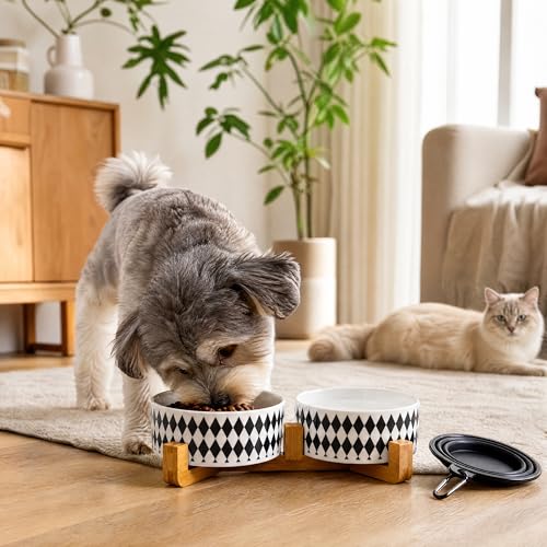 Ceramic Dog Cat Bowl Set with Stand (Black Rhombus / 400ML*2)