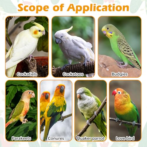 8 PCS Natural Bird Wood Perch Parakeet Standing Toy Sticks Parrot Paw Grinding Branches Cockatiels Cage Chewable Accessories for Conures Macaws Finches
