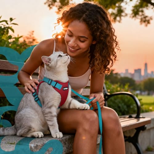 Cat Harness and Leash Set (S / Red & Teal)