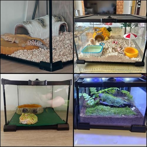 Mini Reptile Glass Terrarium Tank (1.69gal:7.9"L x 7.9"Wx 5.7"H)