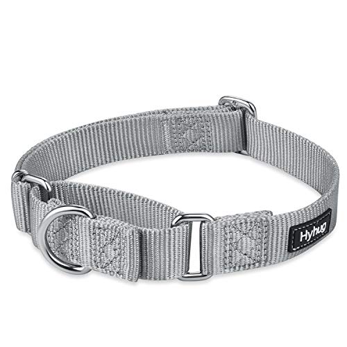 Martingale Dog Collars for Medium Dogs (Medium / Sleet Gray)