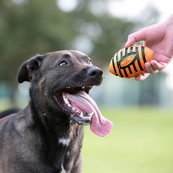 Dog Spiral Squeak Football Outdoor Dog Toy