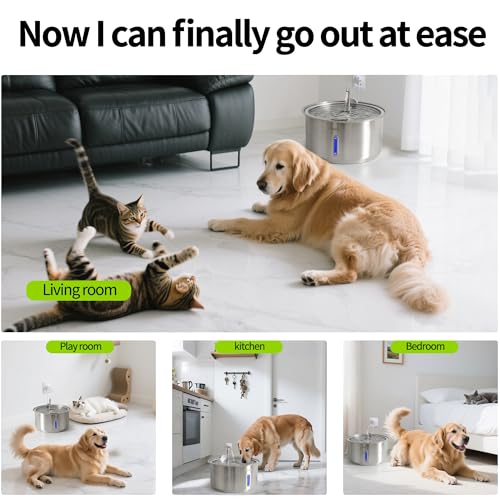 Dog Water Fountain