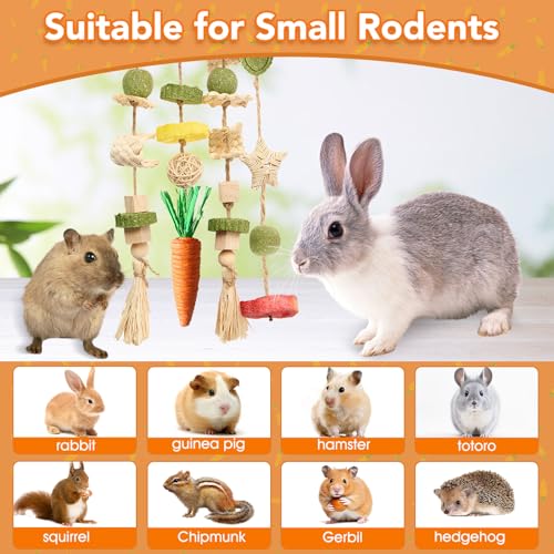 Rabbit Chew Toys Bunny Cage Hanging Toy and Treats Rattan Ring with Snacks for Rodent Pets Teeth Healthy (1 count)