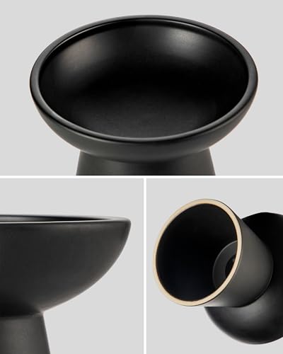 2 Pack Elevated Cat Food Bowls (Black)