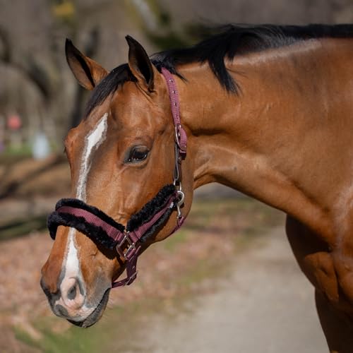 Valkyrie Ultra Fleece Padded Leather Fuse Breakaway Horse Halter (Plum Wine/Black / Horse)