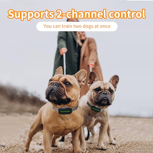 Dog Training Shock Collar 4300FT Dog Bark Collar with Remote IP67 Waterproof 4 Training Modes Beep Vibration Shock Light Mode Magnetic Charger Electric Dogs Collar 8 (Double shock Iron Black)