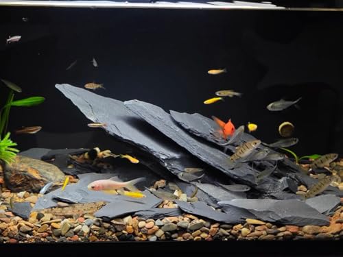 Aquarium Rock Natural Slate Rocks 2 to 6 inch Aquariums Stone for Aquascaping (10lb(2-7''))