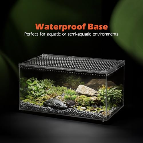 Escape Proof Tarantula Enclosure (Large(11.81*7.87*5.90inch))