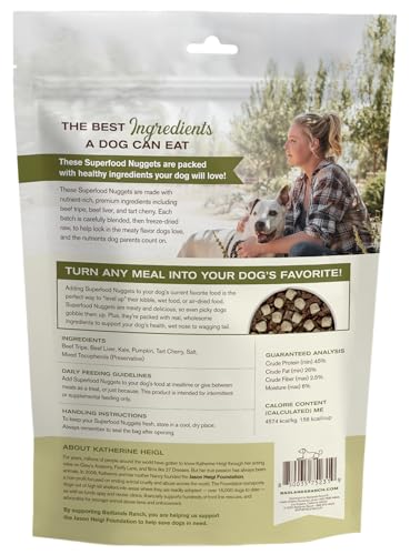 Superfood Nuggets (8 Ounce (Pack of 1))