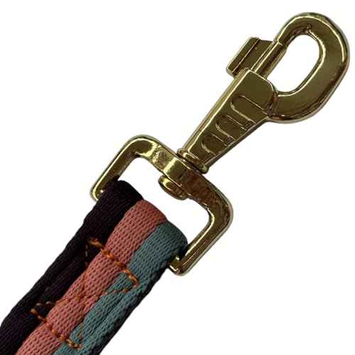Premium Horse Training Lunge Line with Alloy Trigger Buckle for Accurate Equestrian Training of 26 Foot (26foot / Green/Sakura Pink/Grape purple)