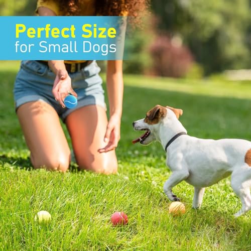 Dog Tennis Balls 4 Pack (2" Squeaky / 4 Pack, 4 Colors)