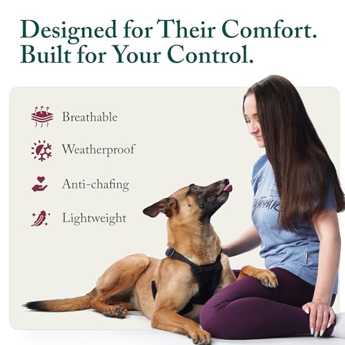 No Pull Dog Harness (Large/X-Large / Red)