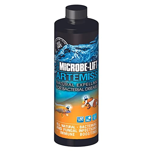 ART08 Artemiss Immune Booster and Disease Treatment for Fish Health in Freshwater and Saltwater Aquariums (8 fl oz)