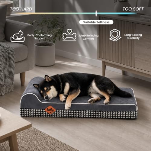 Orthopedic Dog Bed (34.0"L x 22.0"W x 5.5"Th / Black and White Plaid)