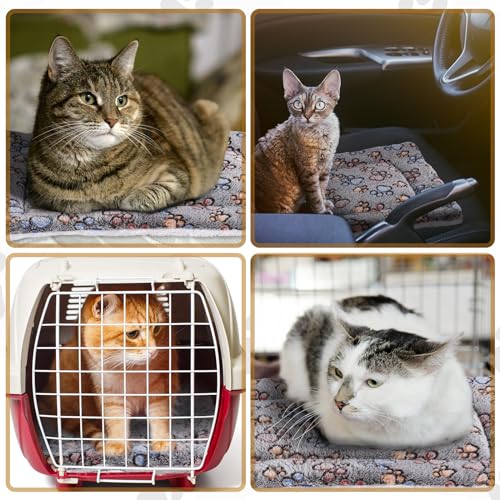 4 Pack Soft Pet Bed Mat Small Dog Crate Fleece (23 x 18 Inches / Gray)
