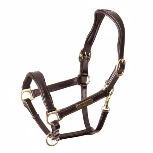 Velociti Rapida Padded Leather Halter (Pony / Havana)