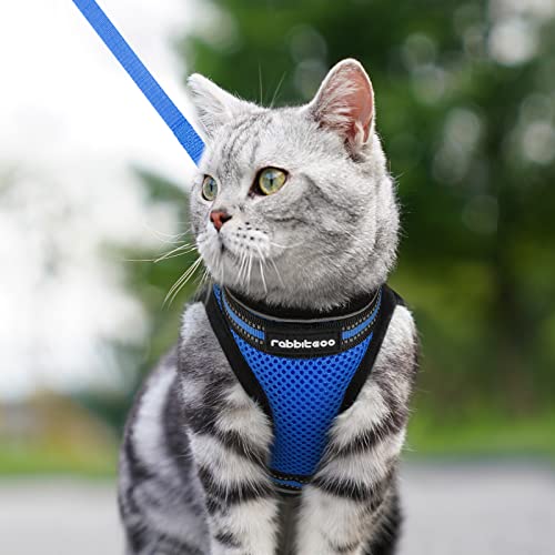 Cat Harness and Leash Set (M / Blue)