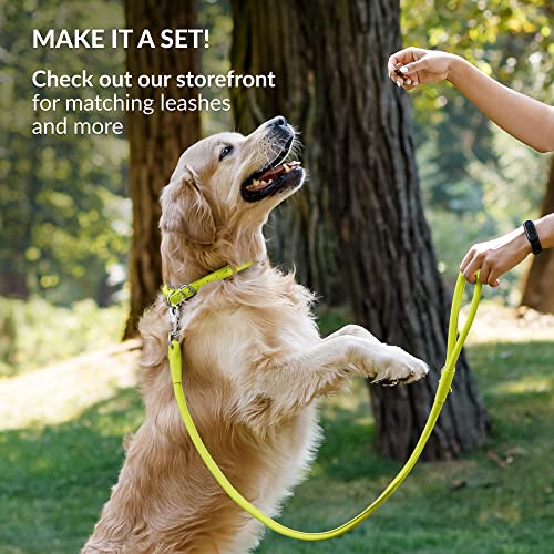 Tangle Free Rolled Leather Dog Collar (Lime Green / XXL)