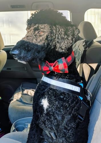 Christmas Dog and Cat Collar with Bowtie (Large (Pack of 1) / Red&Green Grid)