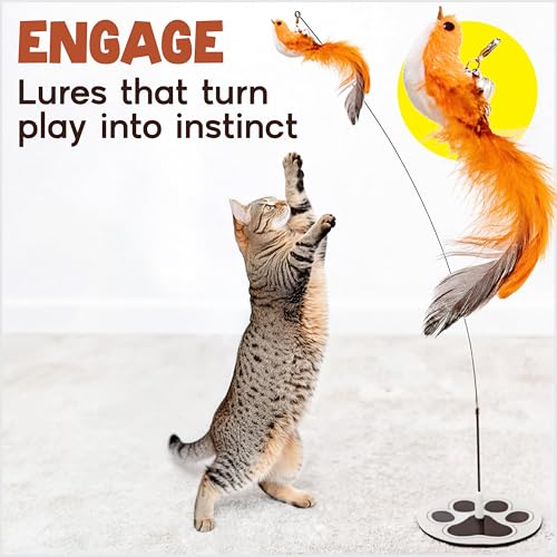 Bird Toy for Cats (Feather Frenzy)