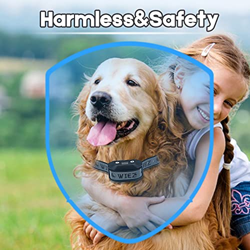 GPS Wireless Dog Fence (Black for 1 dog)