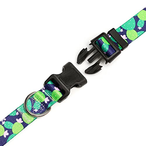 Adjustable Dog Collar (Medium / Cactus)