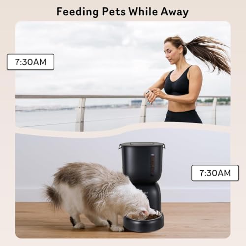 Automatic Cat Feeder and Water Dispenser FW1 (Black)
