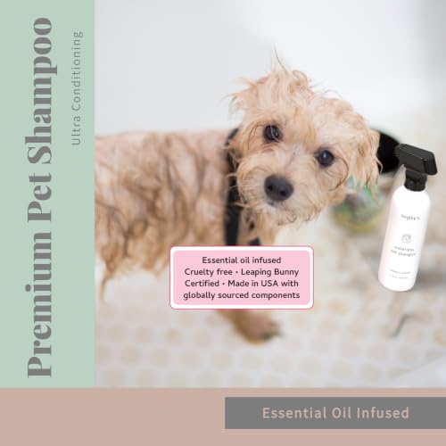 Begley’s No Rinse Waterless Pet Shampoo (16 Fl Oz (Pack of 2) / Oatmeal Mango)