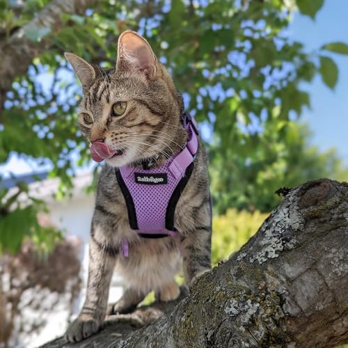Cat Harness and Leash Set (M / Light Purple)