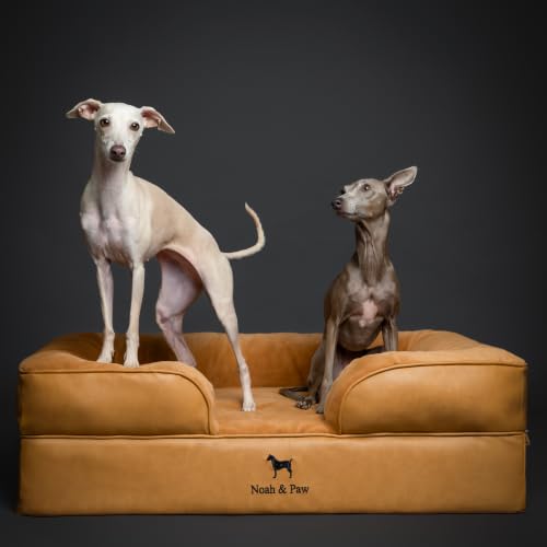 Dog Bed Orthopedic Memory Cooling Foam (Camel - LE / Large)