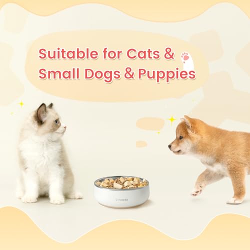 Small Dog Bowl (12oz / Cream White)