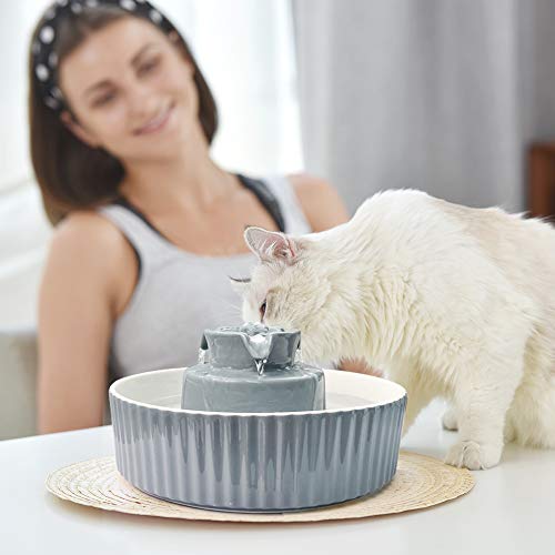 Pet Drinking Fountain