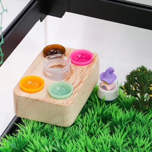 Jumping Spider Accessories