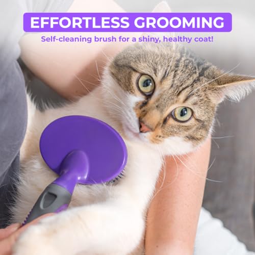 Dog Brush Soft Pin Bristle Pet Brush for Dogs and Cats
