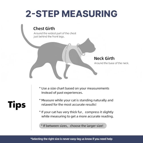 Cat Harness Leash Set with AirTag Holder (Blue for Airtag / S)