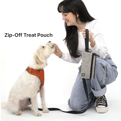 Porter 2-in-1 Dog Gear Travel Backpack - 10 Pockets, Heather Grey (Heather Grey)