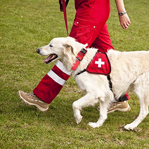 Heavy Duty Thick Dog Collar with Metal Buckle for Large Dogs (L – Fits Neck 18.9"-21.7" / Basic Red)
