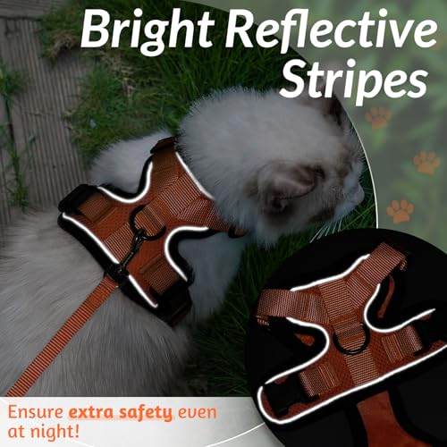 Cat Harness and Leash Set (Xs / Orange)