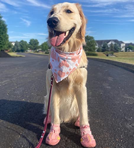 Dog Shoes for Hot Pavement (Size 2: 1.9''x2.4''(W*L) (Pack of 4))
