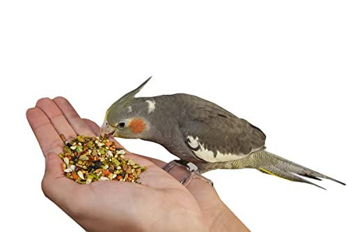 All Natural Garden Blend Bird Food for Medium Birds (2 Pound (Pack of 1))