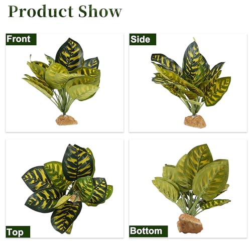 Reptile Plants Decoration