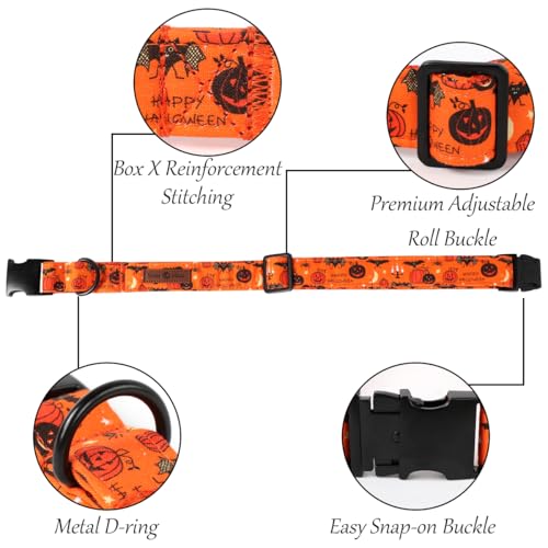 Fall Halloween Dog Collar (Medium (Pack of 1) / A:Hallows eve)