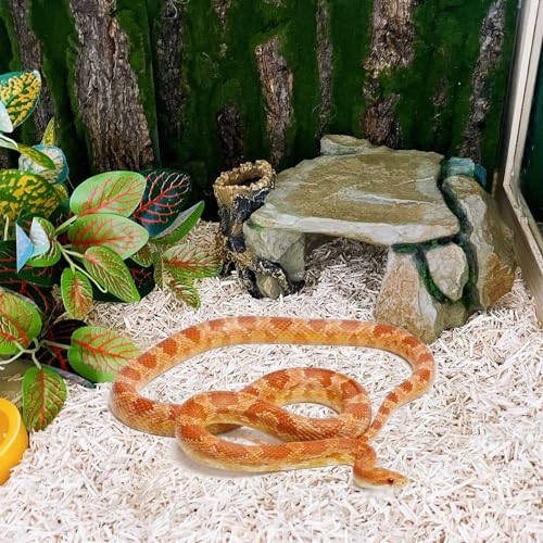 Reptile Hide Cave