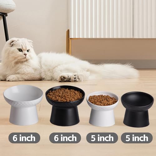 Elevated Cat Bowls (White / 5.2 Inch (Pack of 1))